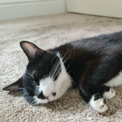 Альфия Салихова, 01.03, Ташкент