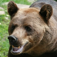 Дмитрий Гончаров, 28.11, Севастополь