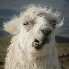 Владимир Альпаков, 05.04, Санкт-Петербург