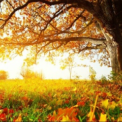 Острый Ум, 26.06.1993, Алматы