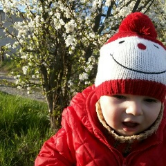 Володимир Коробій, 20.12