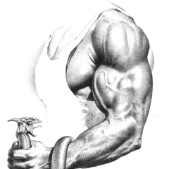 Дмитрий Тютелев, 01.06.1984, Санкт-Петербург