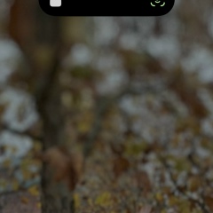 Евгения Кандеева, 15.09.1989, Сочи