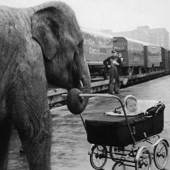 Иван Никифоров, 01.09, Краснодар