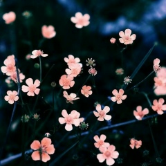 Zarina Kurmantayeva, 02.10.1996, Атырау