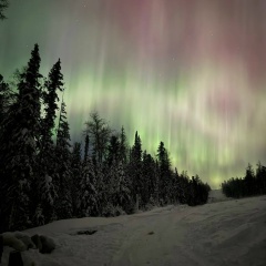 Болат Сегбе, Санкт-Петербург