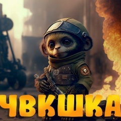 Саша Биньковский, Ростов-на-Дону