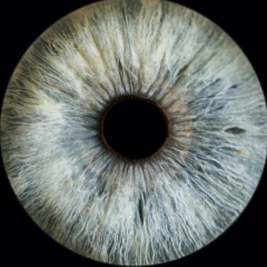 Evgeniy Evgeniy, 20.12, Омск