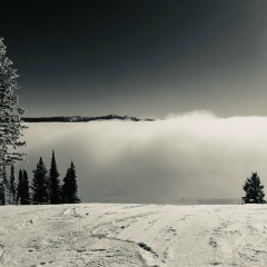 Grigory Denisenko, 27.07.1984, Санкт-Петербург
