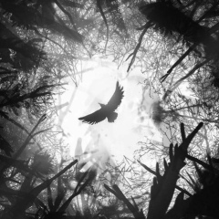 Виталий Родионов, 06.12.1977, Санкт-Петербург