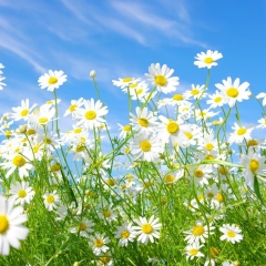 Pawel Lozowski, 16.09.1996, Киев