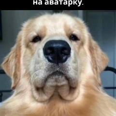 Алекс Горбунов, 30.05, Санкт-Петербург