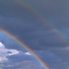 Антон Лузянин