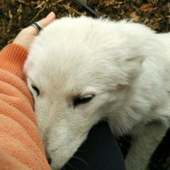 Толганай Кабдуллаева, 21.08, Астана
