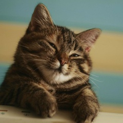 Андрей Елинов, 27.11.1988, Москва