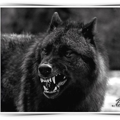 Магомед Мунапов, 24.07.1998, Урус-Мартан