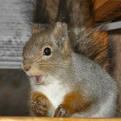 Людмила Чебыкина, 19.05, Санкт-Петербург
