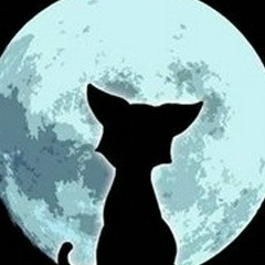 Михаил Бережной, Ростов-на-Дону