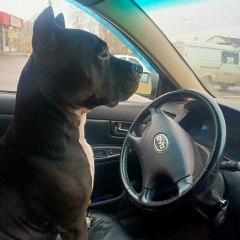 Евгений Пшеничников, 12.10.1983, Оренбург