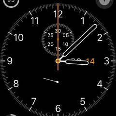 Саша Белый, 25.07, Ташкент