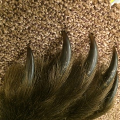 Юрий Мишкин, 13.12, Нижний Новгород