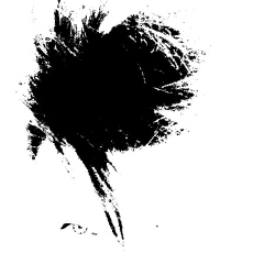 Сергей Васильев, 18.07.2002