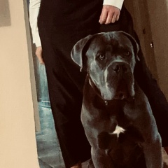 Виктория Дмитриевна, 23.08, Valencia