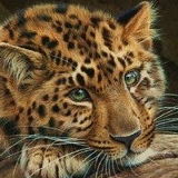 Олександр Ларионов, 04.01.1996, Киев