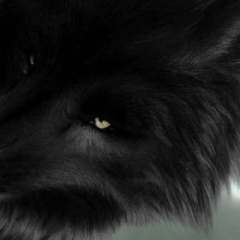 Василий Пономарёв, 23.11.1989, Якутск