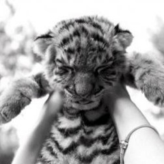 Викуля Андреева, 19.09.1984