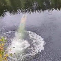 Дмитрий Сытченко, 12.02.1985, Екатеринбург