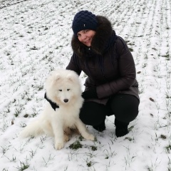 Алла Марцулевич