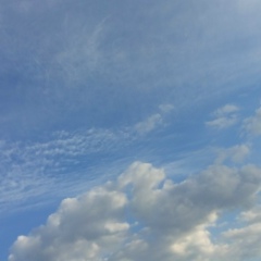 Сара Сара, 28.07