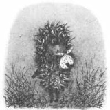 Алексей Горбушин, Екатеринбург