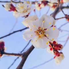 Ажар Саматова, 05.10.2001