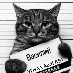 Василий Николаевич, 03.10.1991, Кольчугино