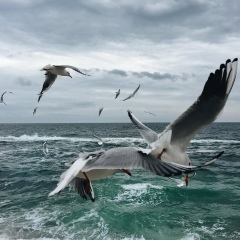 Айзат Муса, 03.10.2005, Алматы