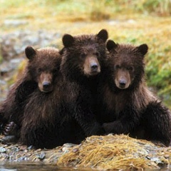 Дмитрий Апанасенок, 27.07
