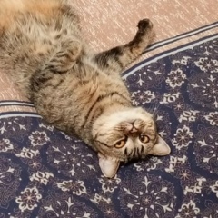 Вадим Снытко, 05.11.1995, Владивосток