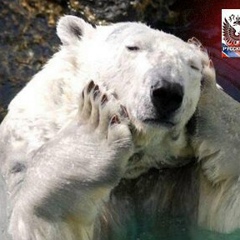 Себастьян Петров, 27.03, Москва