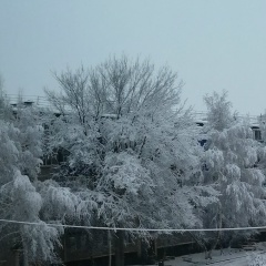 Наталья Дроздова, 04.04.1960, Кувандык