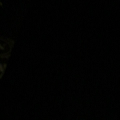 Вадим Берела