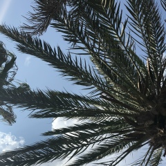 Екатерина Вавилова, 07.08.1987, Москва