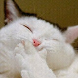 Ангелина Харисова, 19.07.1995, Нефтекамск