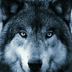 Адлан Исабеков, 11.03, Чечен-Аул