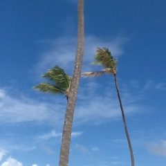 Кирилл Кондрашов, 10.07.1981, Москва