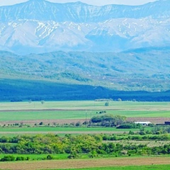 Асланбек Сусуркаев, Грозный