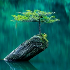 Azat Zhumaliev, Чолпон-Ата