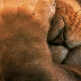 Августа Доброва, 24.08, Одесса