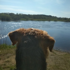 Алексей Беляев, 08.08.1983, Санкт-Петербург